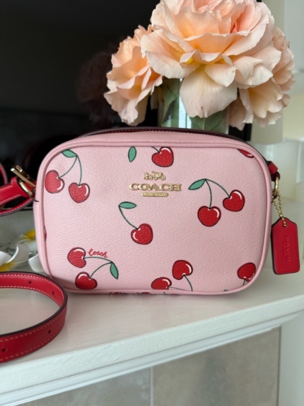 Coach LIKE NEW mini JAMIE camera bag with signature cherry print like new CE655
